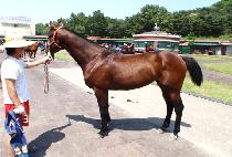 ������� (SPECIAL WIN) ����