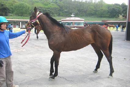 ���񸸼� ����