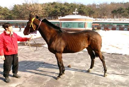 �ؾϸ��� ����