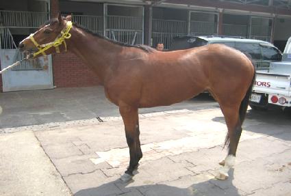 ����ü�� ����