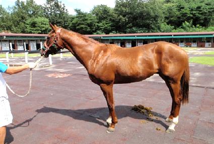 �ø�Ʈ���� ����