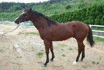 �ʸ��� (FEELING GOOD) ����