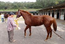 ������ (HIGH WELL) ����