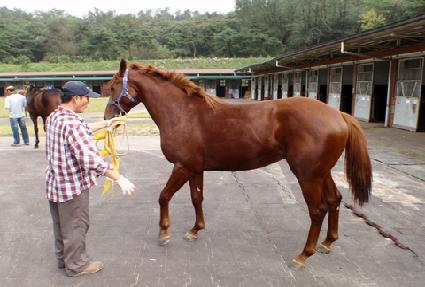 ������ ����