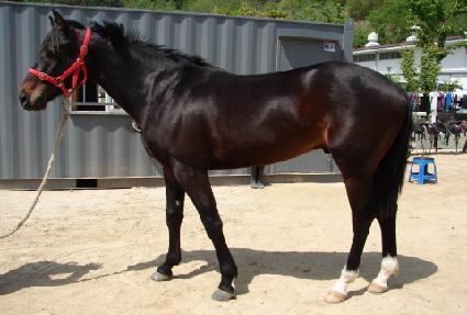 �½��屸 ����