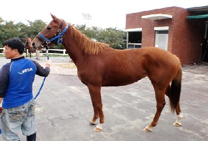 �����Ǻ� ����