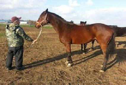 �ٶ����� ����