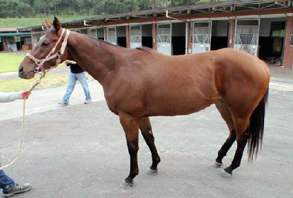 �ϴ÷��� ����