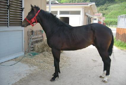 ���ݴ��� ����