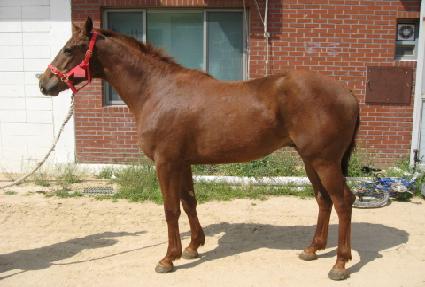 ���־�� ����