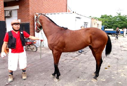 õ����ä ����