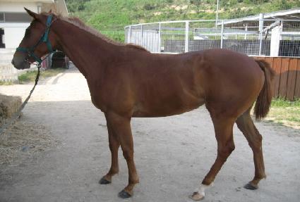 ���帮 ����