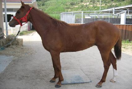 ������ ����