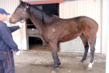 �����ö��� ����