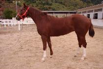 �Ϻ��¸� (WANBYEOK SEUNGNI) ����