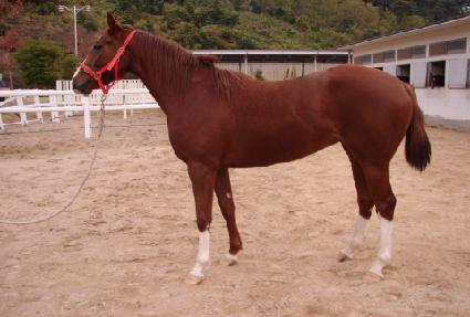 �Ϻ��¸� ����