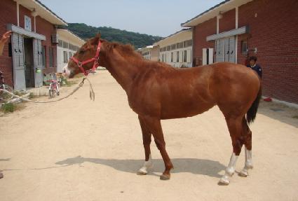 ������� ����