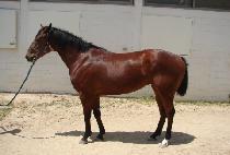 Ȱ�¿����� (HWALLYEOK ENERGY) ����