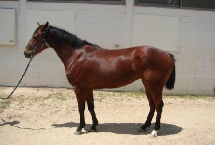 Ȱ�¿����� ����