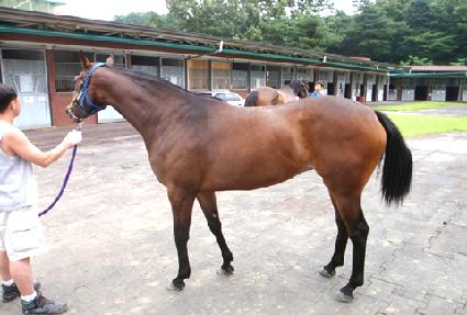 ��ƼǮ���� ����