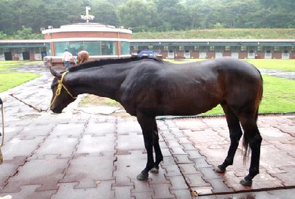 ����Ӵ� ����