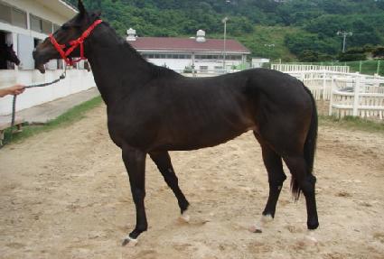 �ο�Ʈ���� ����