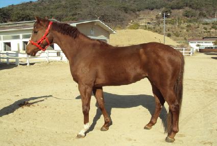 �������� ����