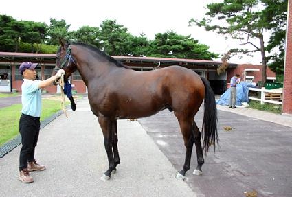 ������� ����