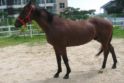 ����Ʈ���� ����