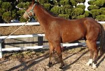 ȯ�������� (HWANHUIUI JEGUK) ����