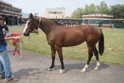 �������� ����