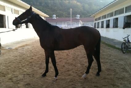 �ý��͸����� ����