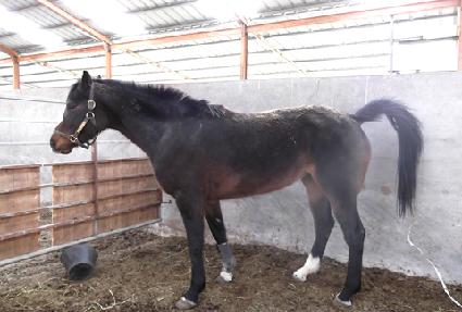 ����ȯ�� ����