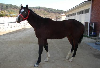 Ȳ�ݳ��� ����