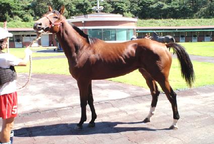 ����� ����