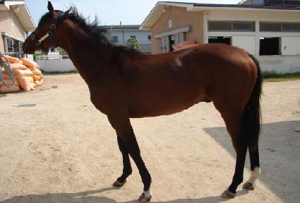 ŷ����ƾ ����