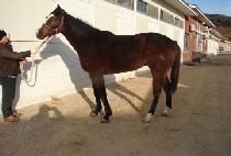 �ӴϺ� (MONEY BALL) ����