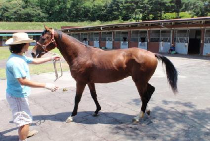 �귣ư���� ����