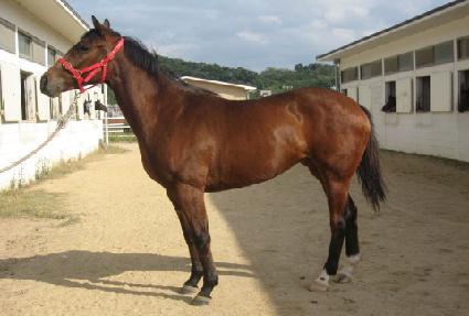 ������ġ ����