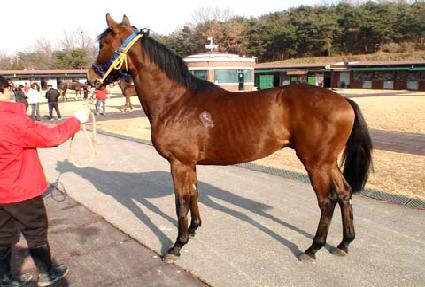 õ������ ����