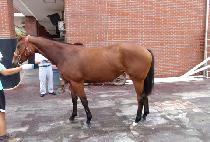 ������� (NOTHERN YEOJE) ����