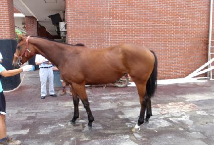 ������� ����