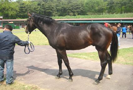 Ÿ���� ����