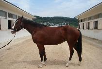 ��ä (YUCHAE) ����