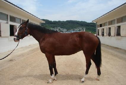 ��ä ����