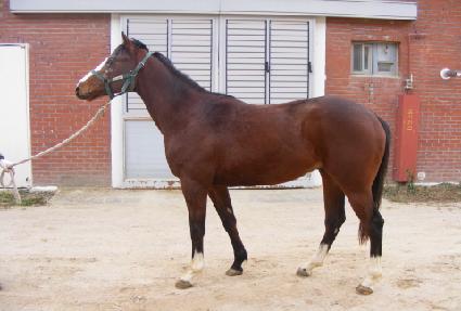 �ʵ����� ����