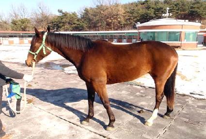 ������ ����