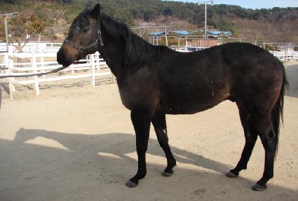 �������� ����