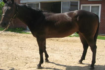 �׷ν��� ����