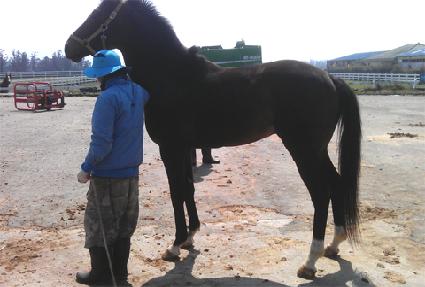 ������ ����